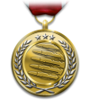 Medals class heavygunner.png