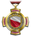 Medals valorousunitmedal pl.png