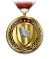 Medals leaddefensemedal.png