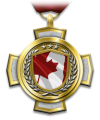Medals valorousunitmedal ca.png
