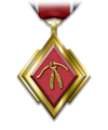 Medals disarmcommendation.png